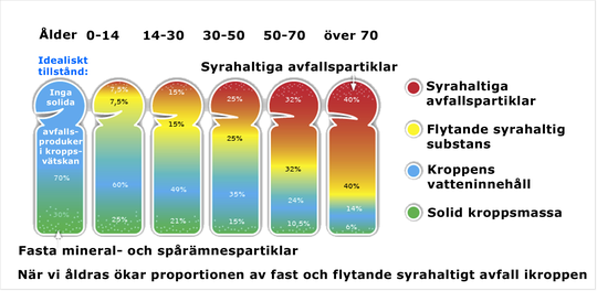 försurning i kroppen försurning i kroppen